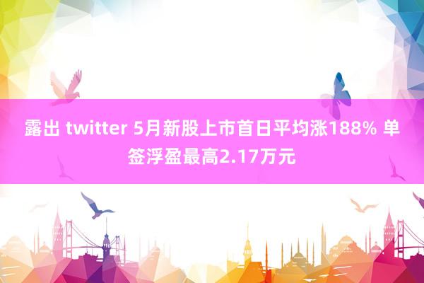 露出 twitter 5月新股上市首日平均涨188% 单签浮盈最高2.17万元