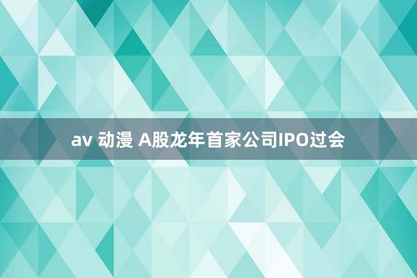 av 动漫 A股龙年首家公司IPO过会