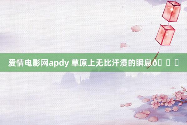 爱情电影网apdy 草原上无比汗漫的瞬息🍃