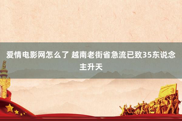 爱情电影网怎么了 越南老街省急流已致35东说念主升天