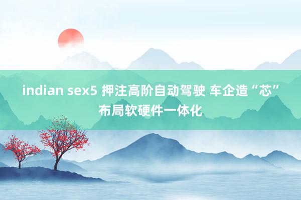 indian sex5 押注高阶自动驾驶 车企造“芯”布局软硬件一体化