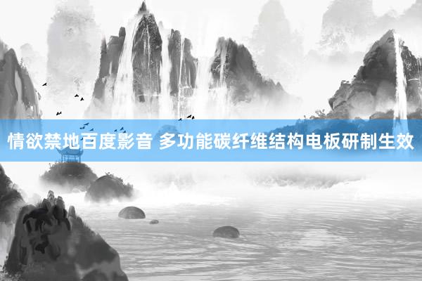 情欲禁地百度影音 多功能碳纤维结构电板研制生效