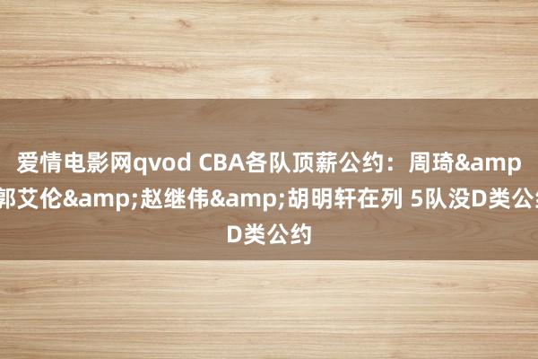 爱情电影网qvod CBA各队顶薪公约：周琦&郭艾伦&赵继伟&胡明轩在列 5队没D类公约