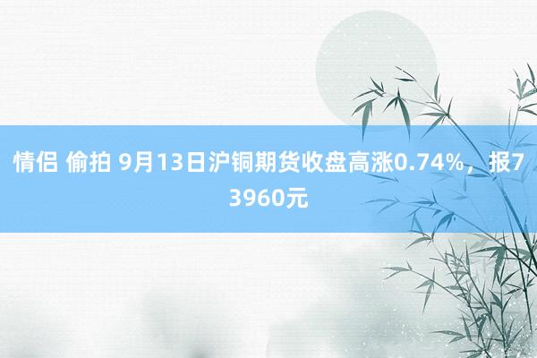 情侣 偷拍 9月13日沪铜期货收盘高涨0.74%，报73960元