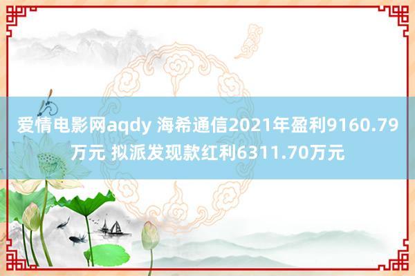 爱情电影网aqdy 海希通信2021年盈利9160.79万元 拟派发现款红利6311.70万元