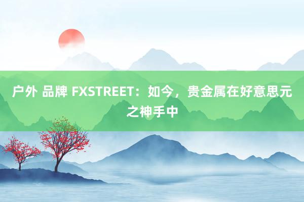 户外 品牌 FXSTREET：如今，贵金属在好意思元之神手中