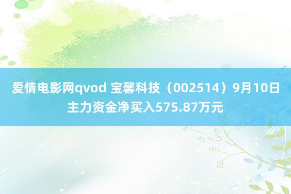 爱情电影网qvod 宝馨科技（002514）9月10日主力资金净买入575.87万元