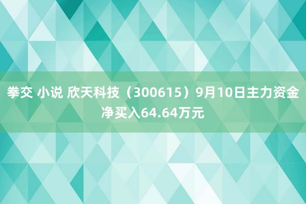 拳交 小说 欣天科技（300615）9月10日主力资金净买入64.64万元