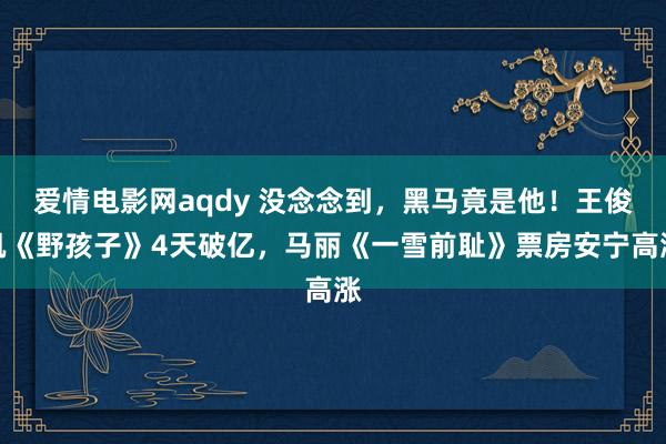 爱情电影网aqdy 没念念到，黑马竟是他！王俊凯《野孩子》4天破亿，马丽《一雪前耻》票房安宁高涨