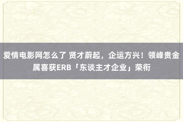 爱情电影网怎么了 贤才蔚起，企运方兴！领峰贵金属喜获ERB「东谈主才企业」荣衔