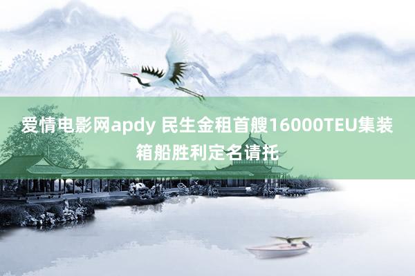 爱情电影网apdy 民生金租首艘16000TEU集装箱船胜利定名请托