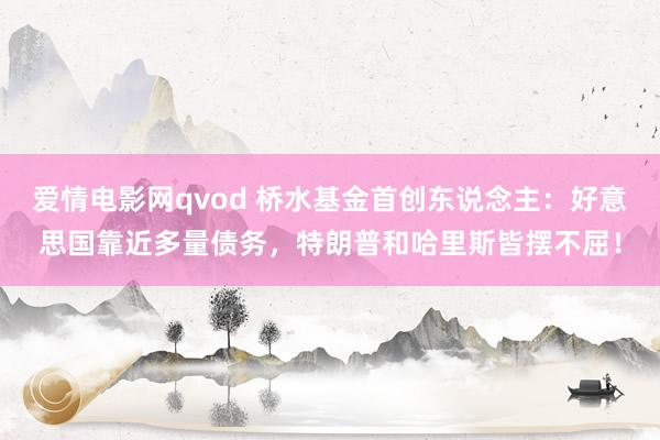 爱情电影网qvod 桥水基金首创东说念主：好意思国靠近多量债务，特朗普和哈里斯皆摆不屈！