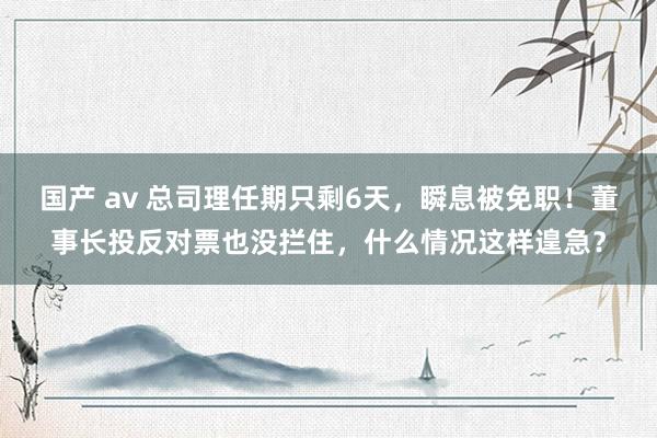 国产 av 总司理任期只剩6天，瞬息被免职！董事长投反对票也没拦住，什么情况这样遑急？