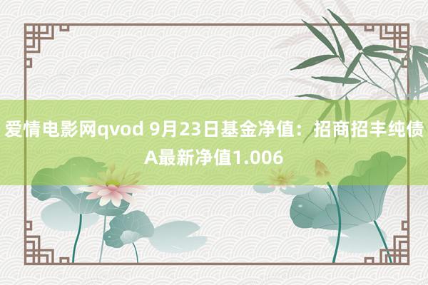 爱情电影网qvod 9月23日基金净值：招商招丰纯债A最新净值1.006