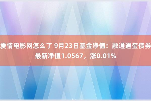 爱情电影网怎么了 9月23日基金净值：融通通玺债券最新净值1.0567，涨0.01%