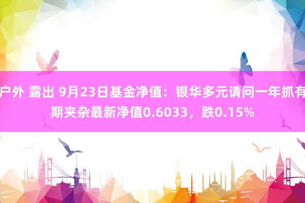 户外 露出 9月23日基金净值：银华多元请问一年抓有期夹杂最新净值0.6033，跌0.15%