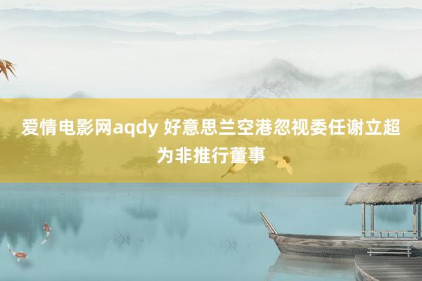 爱情电影网aqdy 好意思兰空港忽视委任谢立超为非推行董事