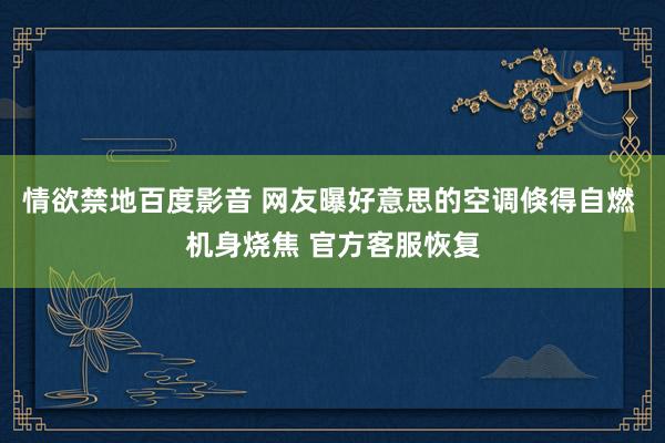 情欲禁地百度影音 网友曝好意思的空调倏得自燃 机身烧焦 官方客服恢复