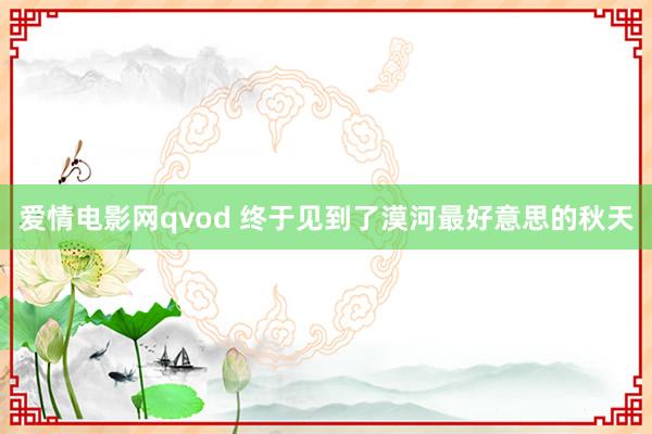 爱情电影网qvod 终于见到了漠河最好意思的秋天