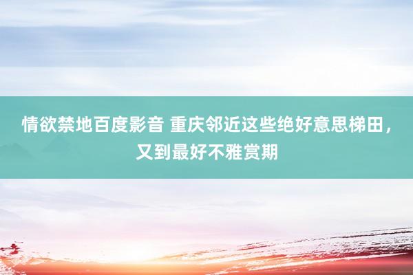 情欲禁地百度影音 重庆邻近这些绝好意思梯田，又到最好不雅赏期