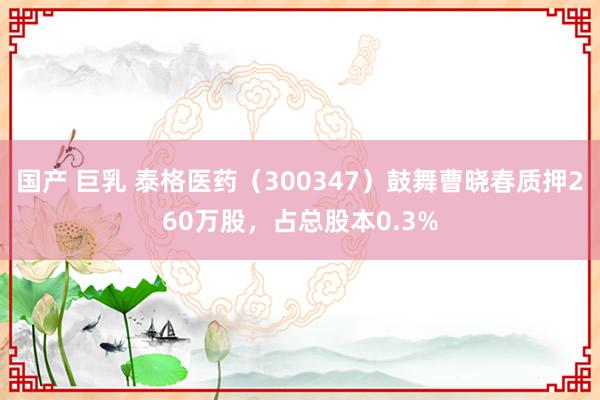 国产 巨乳 泰格医药（300347）鼓舞曹晓春质押260万股，占总股本0.3%