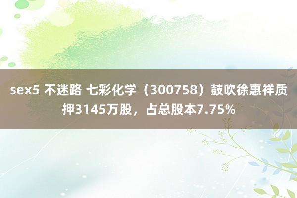 sex5 不迷路 七彩化学（300758）鼓吹徐惠祥质押3145万股，占总股本7.75%