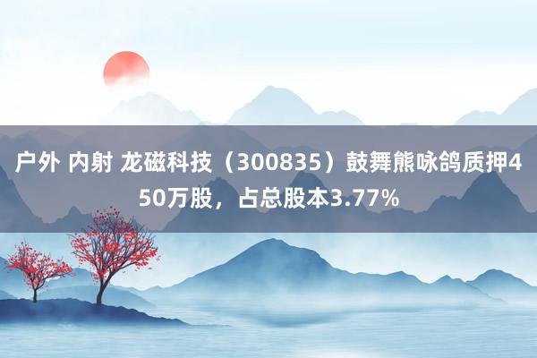 户外 内射 龙磁科技（300835）鼓舞熊咏鸽质押450万股，占总股本3.77%