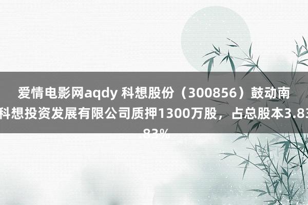 爱情电影网aqdy 科想股份（300856）鼓动南京科想投资发展有限公司质押1300万股，占总股本3.83%