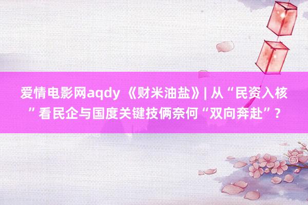 爱情电影网aqdy 《财米油盐》| 从“民资入核”看民企与国度关键技俩奈何“双向奔赴”？