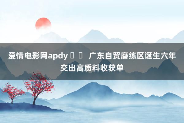 爱情电影网apdy 		 广东自贸磨练区诞生六年交出高质料收获单