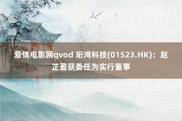 爱情电影网qvod 珩湾科技(01523.HK)：赵芷盈获委任为实行董事