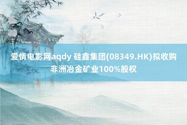 爱情电影网aqdy 硅鑫集团(08349.HK)拟收购非洲冶金矿业100%股权