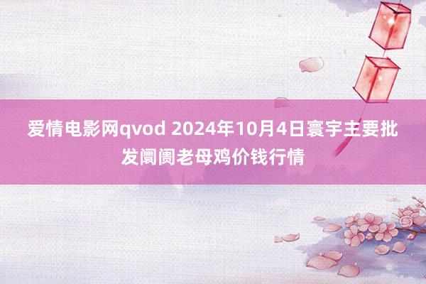 爱情电影网qvod 2024年10月4日寰宇主要批发阛阓老母鸡价钱行情