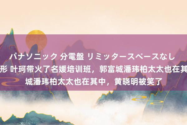 パナソニック 分電盤 リミッタースペースなし 露出・半埋込両用形 叶珂带火了名媛培训班，郭富城潘玮柏太太也在其中，黄晓明被笑了