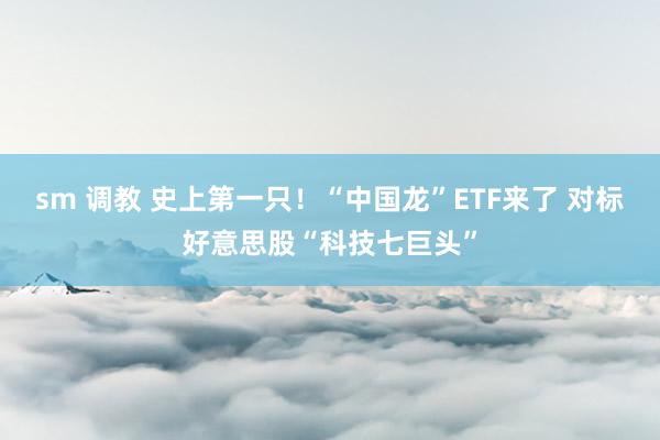 sm 调教 史上第一只！“中国龙”ETF来了 对标好意思股“科技七巨头”