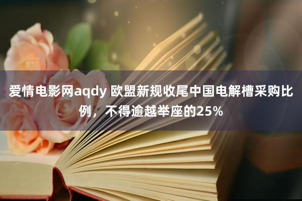 爱情电影网aqdy 欧盟新规收尾中国电解槽采购比例，不得逾越举座的25%