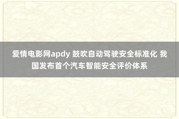 爱情电影网apdy 鼓吹自动驾驶安全标准化 我国发布首个汽车智能安全评价体系