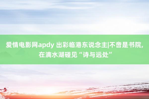 爱情电影网apdy 出彩临港东说念主|不啻是书院， 在滴水湖碰见“诗与远处”