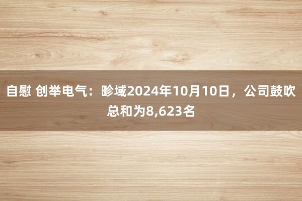 自慰 创举电气：畛域2024年10月10日，公司鼓吹总和为8，623名