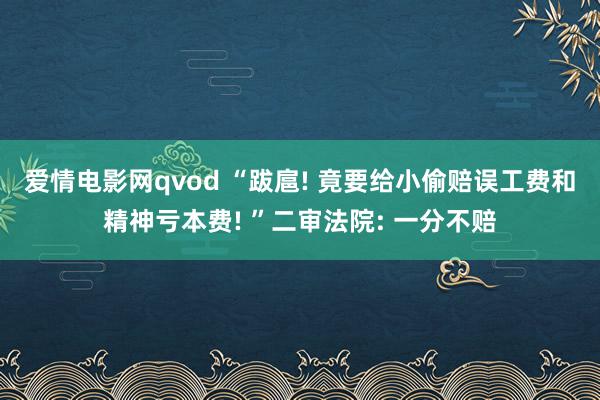 爱情电影网qvod “跋扈! 竟要给小偷赔误工费和精神亏本费! ”二审法院: 一分不赔