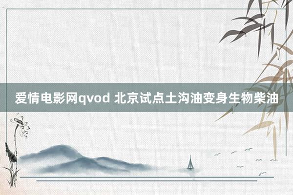 爱情电影网qvod 北京试点土沟油变身生物柴油