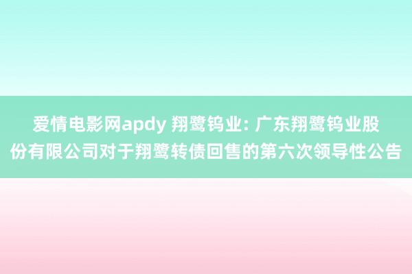 爱情电影网apdy 翔鹭钨业: 广东翔鹭钨业股份有限公司对于翔鹭转债回售的第六次领导性公告