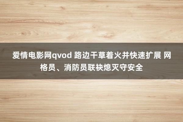 爱情电影网qvod 路边干草着火并快速扩展 网格员、消防员联袂熄灭守安全