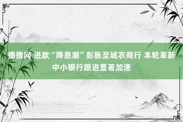 撸撸网 进款“降息潮”彭胀至城农商行 本轮革新中小银行跟进显著加速