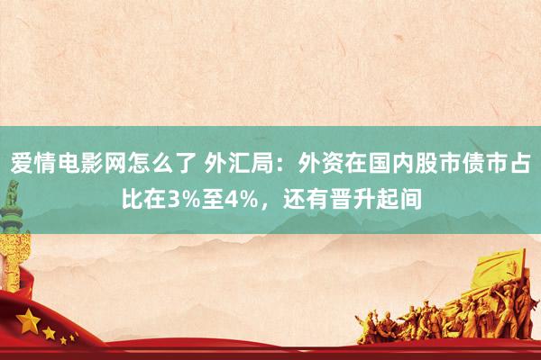 爱情电影网怎么了 外汇局：外资在国内股市债市占比在3%至4%，还有晋升起间