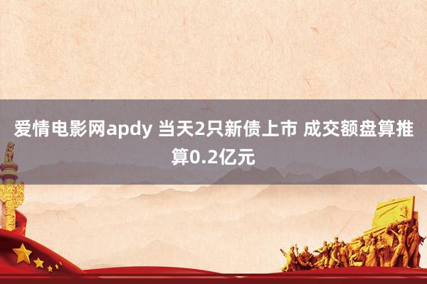 爱情电影网apdy 当天2只新债上市 成交额盘算推算0.2亿元