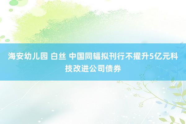 海安幼儿园 白丝 中国同辐拟刊行不擢升5亿元科技改进公司债券