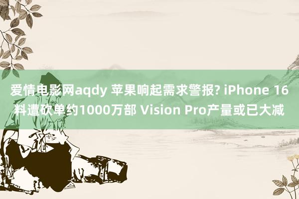 爱情电影网aqdy 苹果响起需求警报? iPhone 16料遭砍单约1000万部 Vision Pro产量或已大减