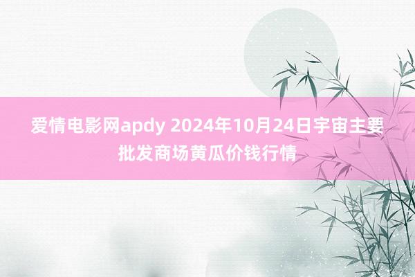 爱情电影网apdy 2024年10月24日宇宙主要批发商场黄瓜价钱行情