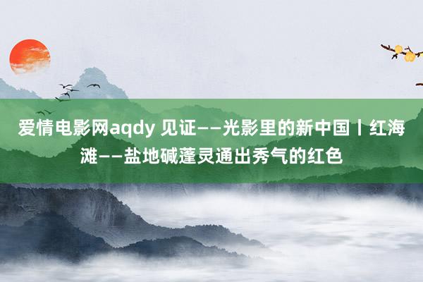 爱情电影网aqdy 见证——光影里的新中国丨红海滩——盐地碱蓬灵通出秀气的红色